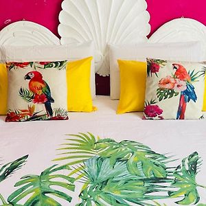 Kamer met een Queen Size Bed